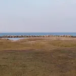 5 Person In *