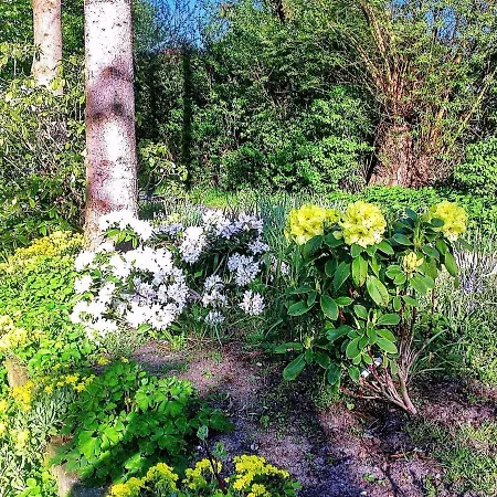 5 Person In * Middelfart