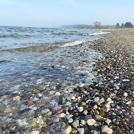 Hébergement de vacances 5 Person In