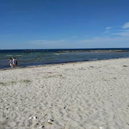 5 Person In *