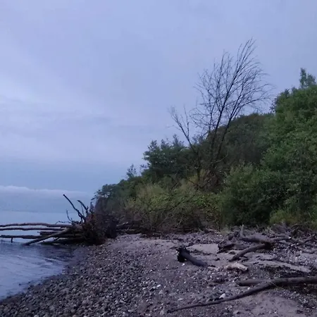 5 Person In ميدِلفارت